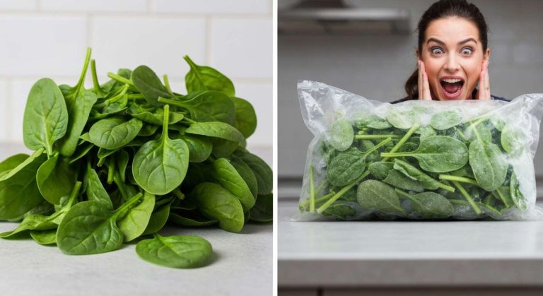 Épinards frais ou surgelés : astuces pour bien les cuisiner